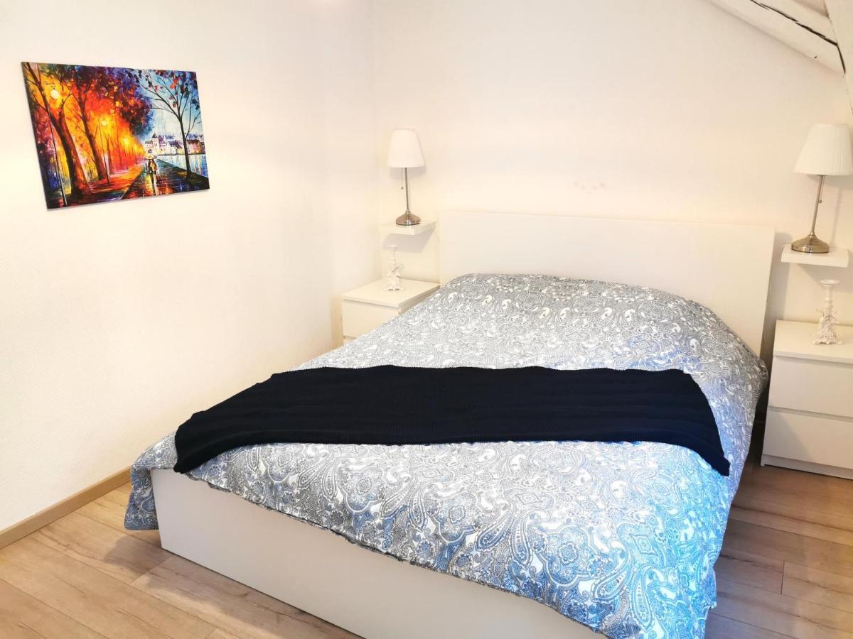 Petite Venise Grand Duplex Turenne Hyper Centre Colmar Esterno foto