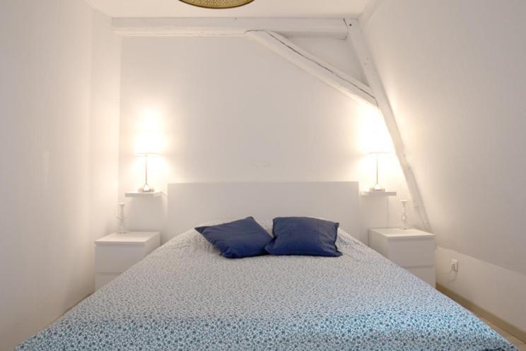 Petite Venise Grand Duplex Turenne Hyper Centre Colmar Esterno foto