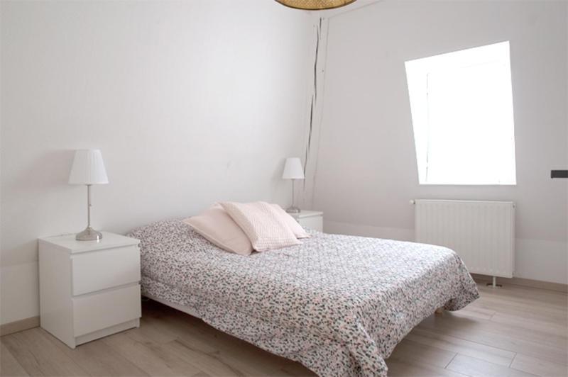 Petite Venise Grand Duplex Turenne Hyper Centre Colmar Esterno foto