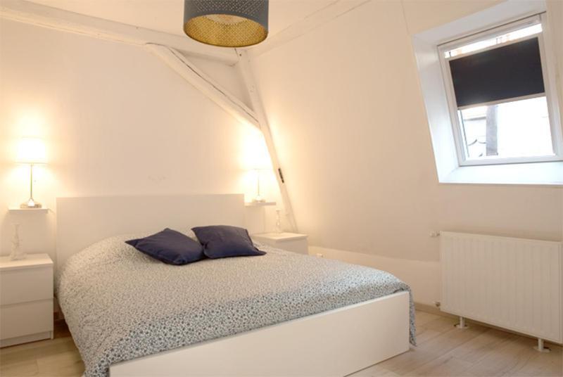 Petite Venise Grand Duplex Turenne Hyper Centre Colmar Esterno foto